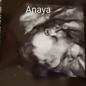 Meet your Posher, Kurtis